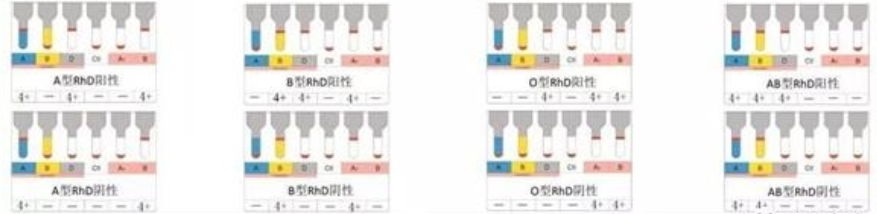 圖片6.png 圖片6.png