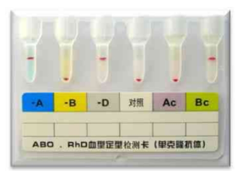 微住凝膠卡.png 微住凝膠卡.png